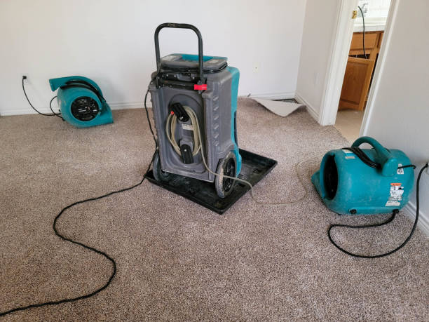  Yardville, NJ Water damage restoration Pros