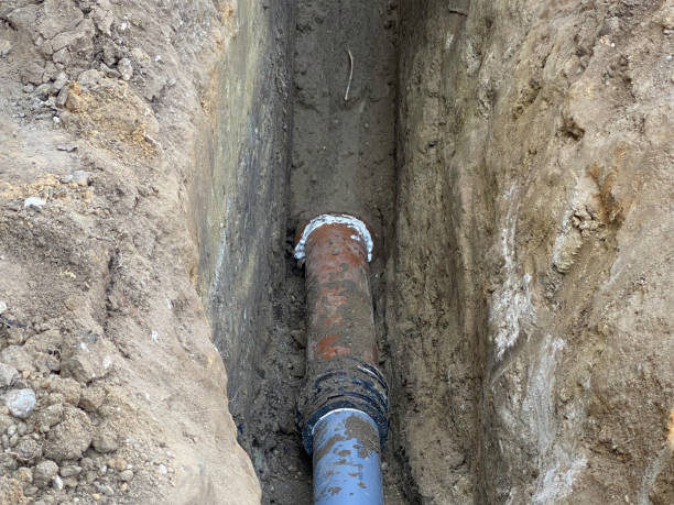 Best Professional water damage repair  in Yardville, NJ