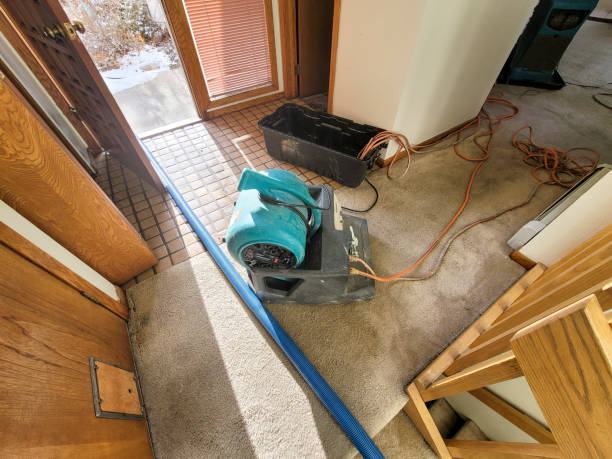 Reliable NJ Water damage restoration Solutions