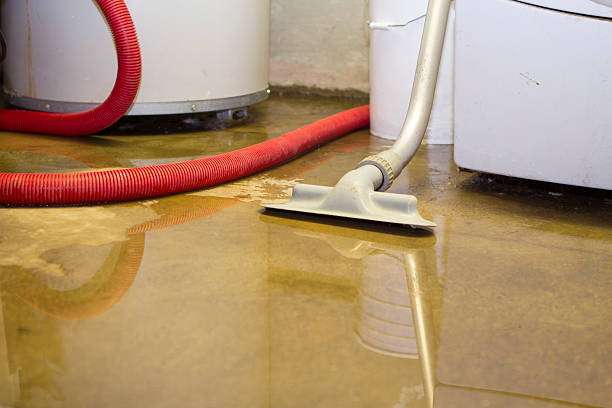 Best Sewage cleanup and water damage restoration  in Yardville, NJ